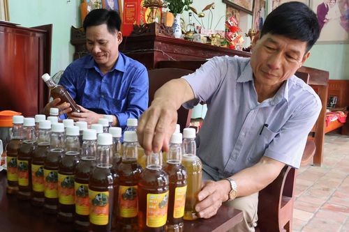 Mật ong Hương ngàn Đất Tổ