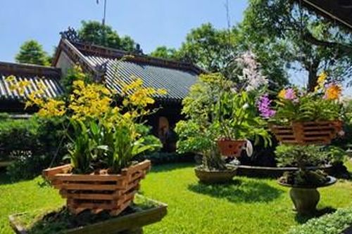 Kinh thành tỏa sáng, vương giả chi hoa hội tụ