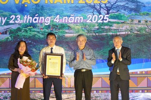 Mèo Vạc (Hà Giang): Đón nhận danh hiệu 'Cây Di Sản Việt Nam'