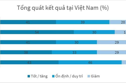 Doanh nghiệp Đức tại Việt Nam: Vượt sóng trong bối cảnh biến động