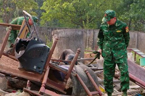 Vinh quang trở về sau nhiệm vụ tại Myanmar
