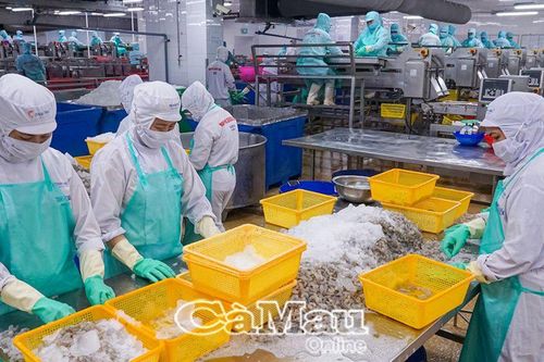 Gắn kết chặt chẽ giữa chính quyền - doanh nghiệp - hiệp hội