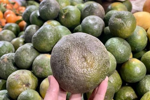 Loại quả giúp tăng đề kháng bán đầy chợ Việt giá chỉ còn hơn chục nghìn đồng/kg