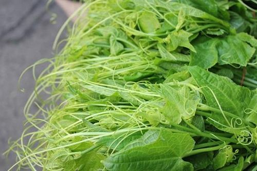 Đang tiết Cốc Vũ, nhớ ăn 4 loại rau rẻ tiền này vừa tăng sức đề kháng vừa giúp đẹp da, bổ máu