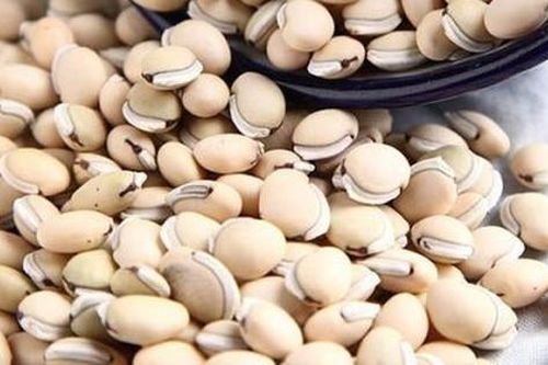 Canh bổ dưỡng từ các loại đậu