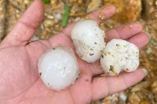 Mưa đá rơi dày đặc ở Hà Giang