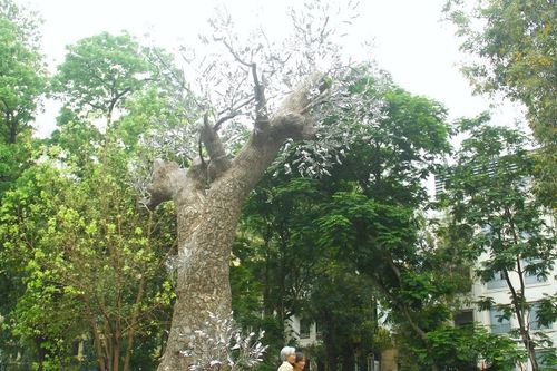 Độc đáo… 'Hồi sinh'