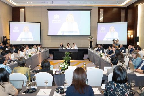 UNDP và WHO cam kết hỗ trợ Việt Nam trong khắc phục ô nhiễm và quản lý chất lượng không khí