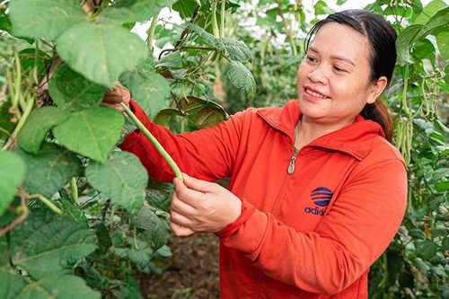 Hỗ trợ hơn 8.000 người tiếp cận và áp dụng canh tác bền vững