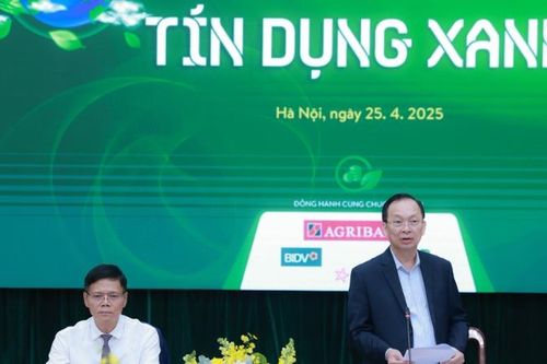 Cần một khung pháp lý thống nhất để khơi thông dòng vốn tín dụng xanh