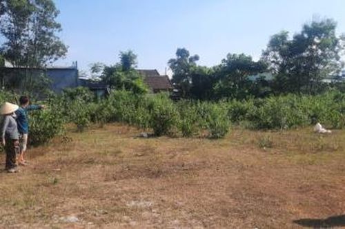 Người dân kiến nghị dời quy hoạch mở rộng khu nghĩa trang ra xa khu dân cư