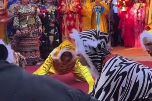 Cục Di sản văn hóa chỉ đạo 'nóng' về việc múa cọp ở Tháp Bà Ponagar