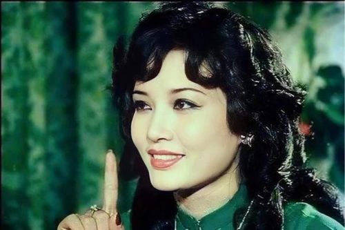 'Biệt động Sài Gòn', 'Cánh đồng hoang' là tác phẩm tiêu biểu của TPHCM 50 năm qua