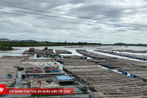 Thanh Hóa: Tích cực tháo dỡ bè, mảng nuôi trồng thủy sản trái phép