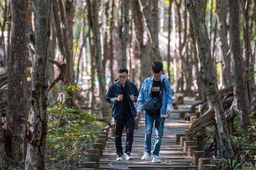 Con đường xanh mướt đẹp như tranh dẫn đến chiến khu Rừng Sác nổi tiếng