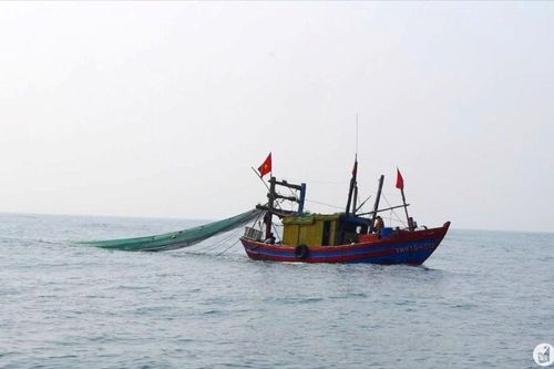 BĐBP Nghệ An bắt giữ 2 tàu cá tàng trữ thiết bị kích điện trái phép để khai thác hải sản
