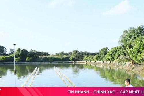 Phát triển thủy sản nước ngọt ở Hà Tĩnh: Từ truyền thống đến công nghệ cao
