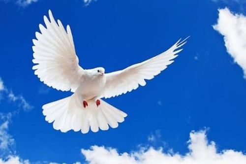 Trước ngưỡng cửa hòa bình