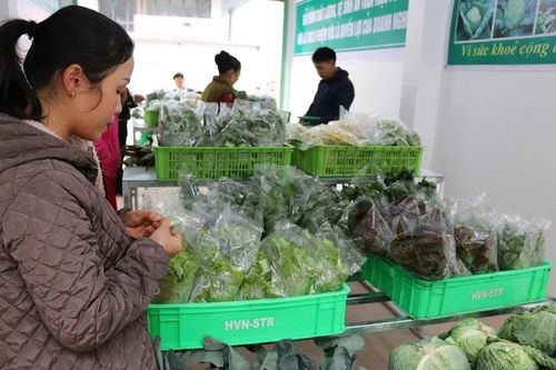 Bỏ thuế khoán: Hóa đơn điện tử thay đổi 'cuộc chơi' của các hộ kinh doanh