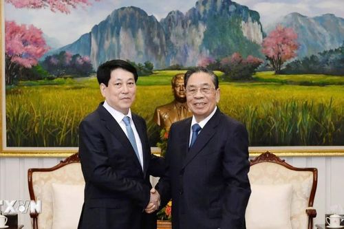 Chủ tịch nước Lương Cường thăm nguyên Tổng Bí thư, Chủ tịch nước Lào