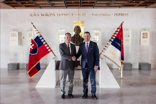 Các trường đại học Slovakia luôn mở cửa đối với sinh viên Việt Nam