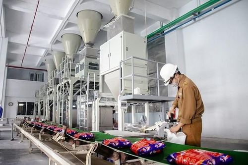 Lợi nhuận sau thuế quý I/2025 của DGC tăng 18,8% so với cùng kỳ năm ngoái