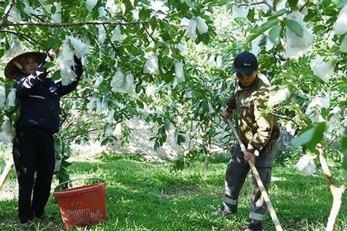 Hà Tĩnh: Phụ nữ nông thôn khó tiếp cận các nguồn vốn vay ưu đãi
