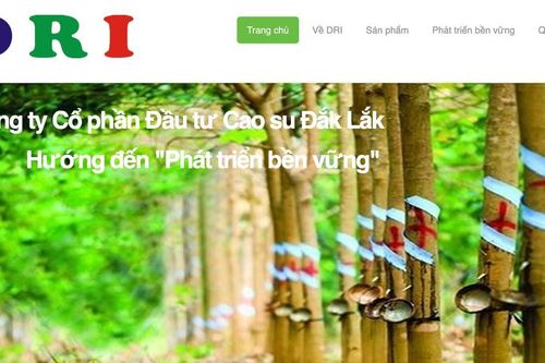 Cao su Đắk Lắk khởi đầu 2025 ấn tượng với lợi nhuận quý I tăng vọt 167%