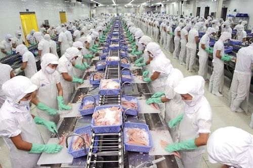 Không rút khỏi Mỹ, Vĩnh Hoàn dự phòng 2 kịch bản lợi nhuận 2025