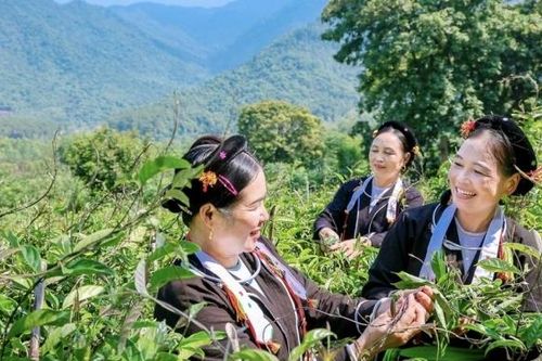 Sáp nhập Vĩnh Phúc, Phú Thọ, Hòa Bình: Bài cuối- Gắn kết bản sắc, khơi dậy lòng dân