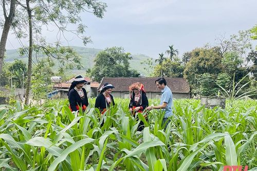 Nhân hội nghị biểu dương trưởng ban công tác mặt trận tiêu biểu tỉnh Thanh Hóa, giai đoạn 2020-2025: Xứng đáng là 'nhịp cầu' nối 'ý Đảng - lòng dân'
