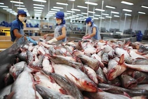 Vĩnh Hoàn: Giảm chỉ tiêu cho năm 2025, Mỹ vẫn sẽ là thị trường chiến lược