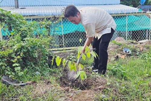 Huyện đoàn Tri Tôn ra quân xây dựng 'Đô thị văn minh'