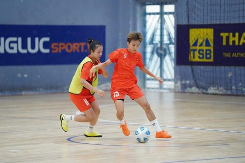 Kỳ vọng các đội tuyển futsal Việt Nam