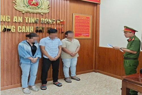 Công an Đồng Nai khởi tố 3 người kinh doanh thịt heo bệnh, heo chết