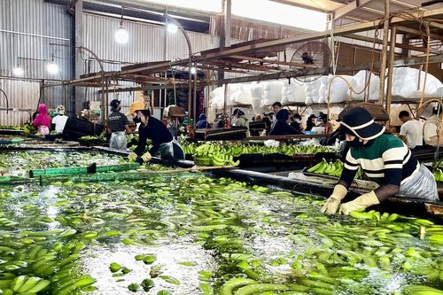 Công bố 7 thủ tục hành chính trong lĩnh vực an toàn, vệ sinh lao động