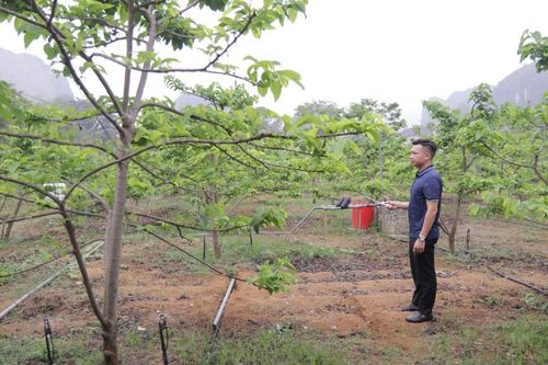 Phát triển hợp tác xã: Bước tiến từ chuyển đổi số