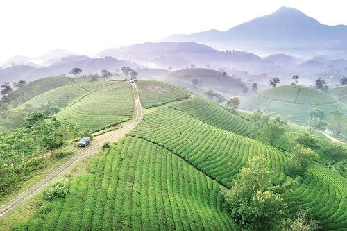 Liên kết để phát triển du lịch