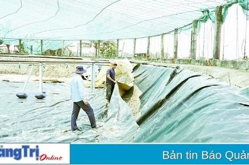 Cẩn trọng trước vụ nuôi tôm mới