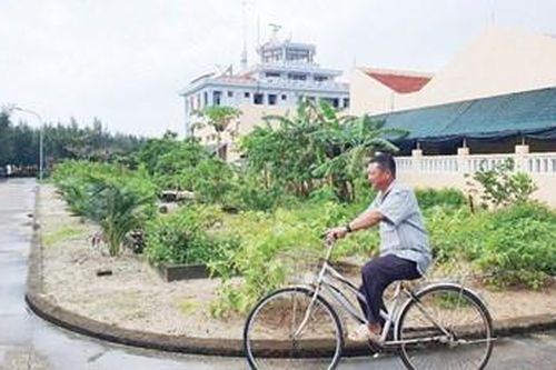 Mảng xanh giữa trùng khơi