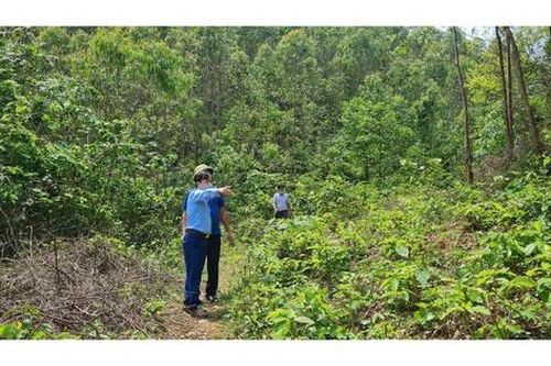 Trung tâm phát triển nông, lâm nghiệp tỉnh Vĩnh Phúc quyết liệt phòng, chống cháy rừng