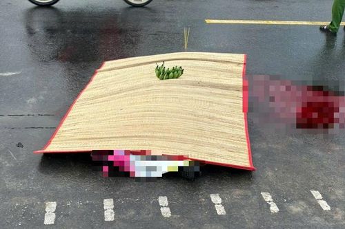 Bạc Liêu: Vướng dây điện vào cổ, 1 người tử vong tại chỗ
