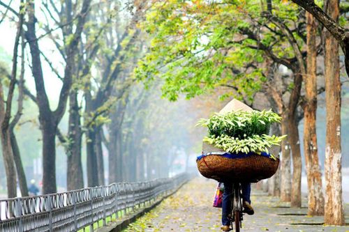 Tháng tư về…