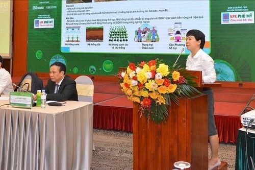 Hợp tác xã điện tử: Giải pháp 'chuyển đổi mềm' đưa hộ cá thể vào nền kinh tế số