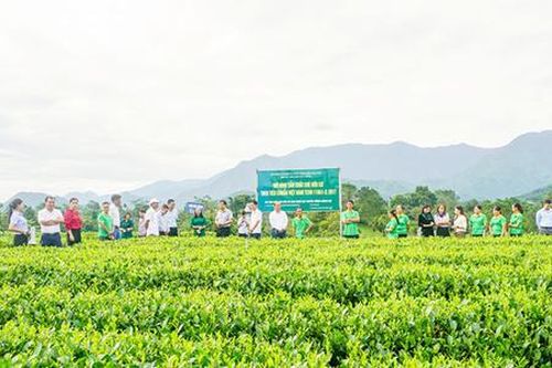 Lối rẽ vươn lên của đồng bào dân tộc thiểu số trên những sườn đồi ở Thái Nguyên