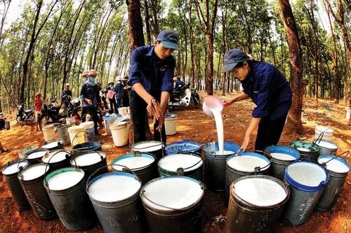 Cổ phiếu 'vàng trắng' ngược kỳ vọng