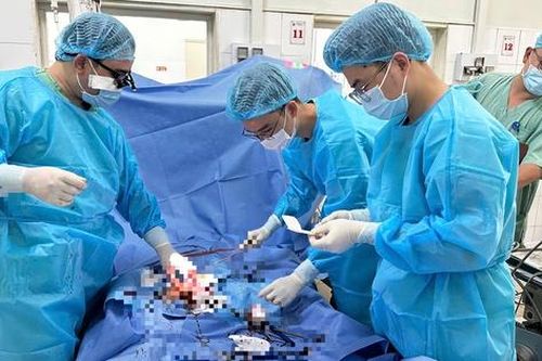Cứu sống bé trai nguy kịch do viêm cơ tim tối cấp