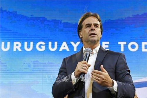 Mercosur trước ngã rẽ then chốt