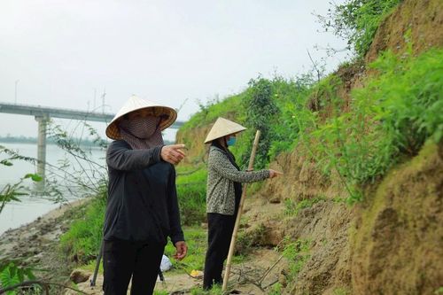 Báo động sạt lở bờ sông Lam