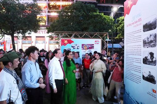 TP.HCM: Triển lãm và chiếu phim công cộng tại đường đi bộ Nguyễn Huệ